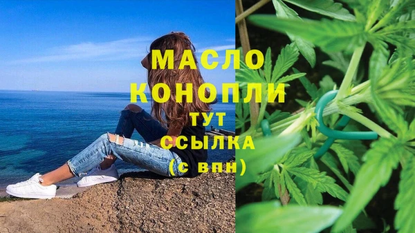 сатива Гусев