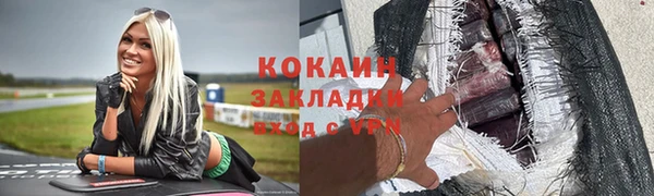 шишки Гусь-Хрустальный