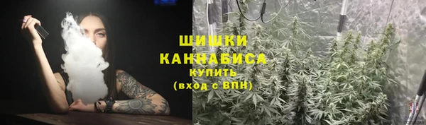 сатива Гусев