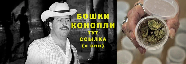 шишки Гусь-Хрустальный