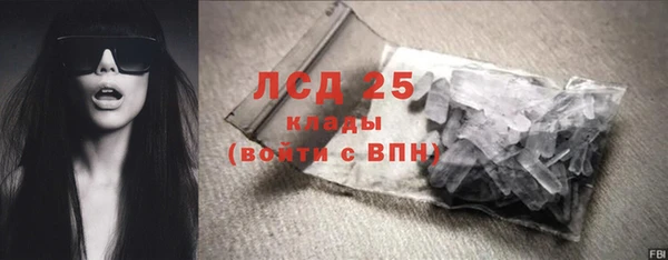 шишки Гусь-Хрустальный