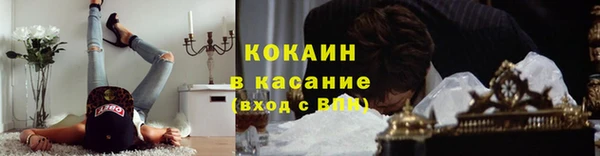 шишки Гусь-Хрустальный