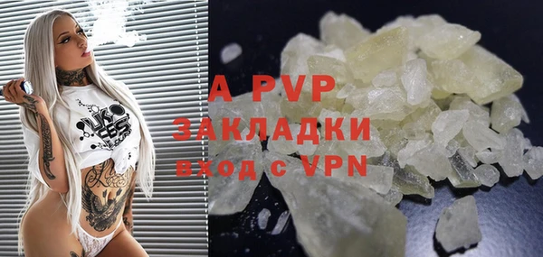 сатива Гусев