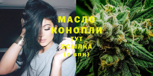 сатива Гусев