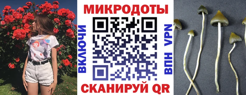 Псилоцибиновые грибы MAGIC MUSHROOMS  что такое наркотик  Заречный 