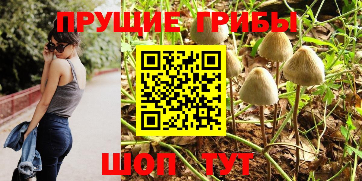 Псилоцибиновые грибы прущие грибы Заречный