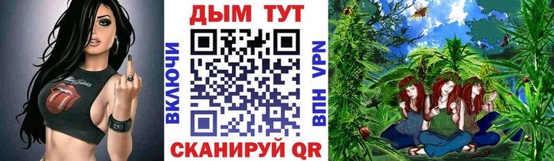 Шишки марихуана конопля  darknet клад  Заречный 